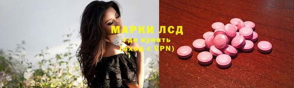 гидра Няндома